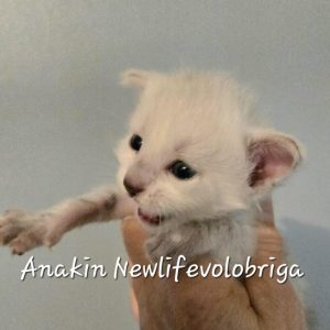 att.GRzQQsQuMpfMu6BsmYjniZuYQiF78wITy1v2IgdQHZQ