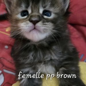 att.eKtyKJh0sSYPNHSAByhh36_pCO-xt4bsfJgpSKijhLE